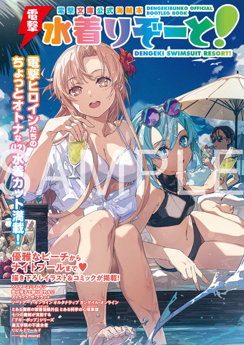 『電撃文庫公式海賊本』電撃水着りぞーと!